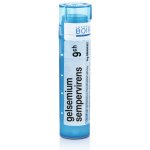 GELSEMIUM SEMPERVIRENS POR 9CH GRA 1X4G – Hledejceny.cz