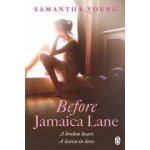 Before Jamaica Lane Samantha Young Paperback – Hledejceny.cz