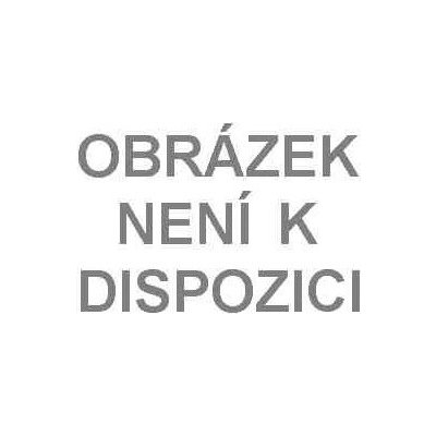 Green Idea Magnesium Brain 60 kapslí – Hledejceny.cz