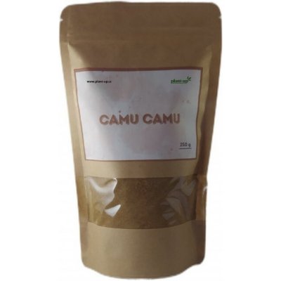 Plant-up Camu camu sypký prášek 100 g – Zboží Mobilmania