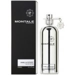 Montale Vanilla Extasy parfémovaná voda dámská 100 ml – Hledejceny.cz