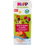HiPP BIO Nápoj Jemné jablko a ovoce s neperlivou pramenitou vodou 200 ml – Zboží Mobilmania