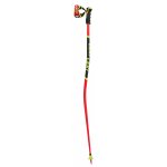 Leki WCR GS 3D 2021/22 – Zboží Dáma