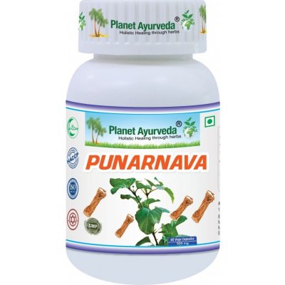 Planet Ayurveda Punarnava 500 mg 60 kapslí – Hledejceny.cz