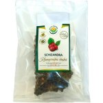 Salvia Paradise Schizandra čínská plod HQ 10 ks 100 g – Hledejceny.cz