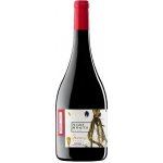 Vine Roots Graciano Ecológico 14% 0,75 l (holá láhev) – Hledejceny.cz