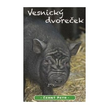 Mičánek Černý Petr: Vesnický dvoreček