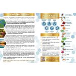 Dajana ISF Vegetable Wafers 100 ml – Sleviste.cz