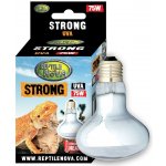 Reptile Nova Strong Desert 75 W – Hledejceny.cz