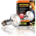 Hagen Exo Terra Intense Basking Spot 100 W – Zboží Dáma