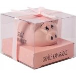 Albi Prasátko pro radost pokladnička Skvělé kamarádce 6 x 7,5 cm – Zboží Dáma