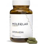 Spermidin od MOLEQLAR 60 kapslí – Hledejceny.cz