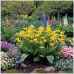 Kandík 'Pagoda' 3 ks – Zboží Mobilmania