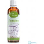 Serafin Žampion tinktura z bylin 50 ml – Hledejceny.cz