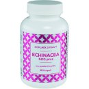 Naturvita Echinacea 500 plus 60 kapslí