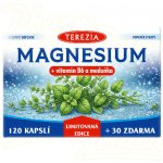 TEREZIA MAGNESIUM + vitamin B6 a meduňka Limitovaná edice 120 + 30 kapslí – Hledejceny.cz