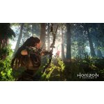 Horizon: Zero Dawn – Zboží Dáma