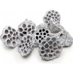 mech-mech.cz Sušený Lotos vel. M - Bílý 10 ks – Zboží Dáma