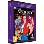 NEOGEO Arcade 3 (Evercade Cartridge 20) – Hledejceny.cz