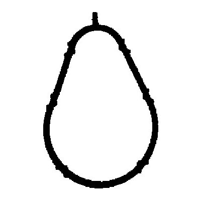 450553P CORTECO Těsnění, koleno sacího potrubí – Sleviste.cz