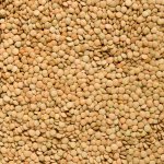 Country Life Čočka zelená velká Bio 5 kg – Zboží Dáma