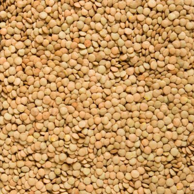 Country Life Čočka zelená velká Bio 5 kg – Zboží Dáma