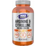 Now Foods Arginine & Ornithine 500 mg 250 mg 250 kapslí – Hledejceny.cz