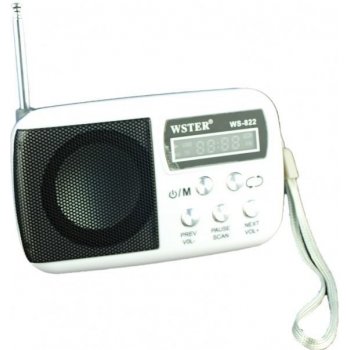 WSTER WS-822