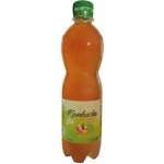 Stevikom Kombucha zázvor s limetkou 0,5 l – Zboží Dáma