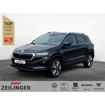 Skoda Karoq TDI Selection DSG 110 kW – Hledejceny.cz