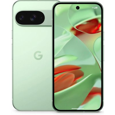 Google Pixel 9 12GB/128GB Wintergreen – Hledejceny.cz