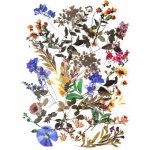 Galeria Papieru Dekorativní samolepky fóliové - luční kvítí, 40 ks – Hledejceny.cz