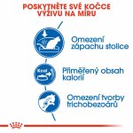 Royal Canin Indoor 10 kg – Zbozi.Blesk.cz