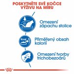 Royal Canin Indoor 10 kg – Zboží Dáma