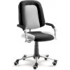 Kancelářská židle Mayer Freaky Sport 2430 08 397
