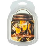 Chestnut Hill Candle Vonný Vosk Apricot Mimosa 105 g – Hledejceny.cz