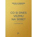 Co si dnes vezmu na sebe? - Ines de la Fressange