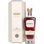 Bushmills Single Malt 25y 46% 0,7 l (kazeta) – Hledejceny.cz