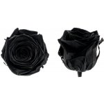 Hlavy růží - princess 16 ks Black - černá – Hledejceny.cz