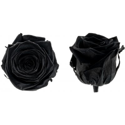 Hlavy růží - princess 16 ks Black - černá – Hledejceny.cz