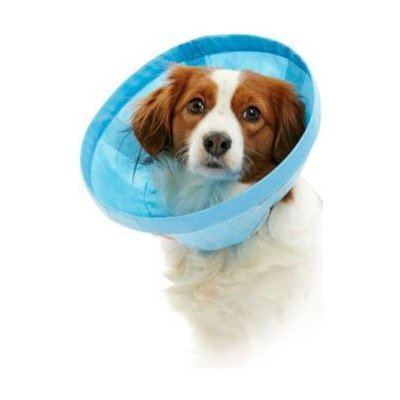 Kruuse Límec ochranný BUSTER Soft Flex Collar 25 cm – Sleviste.cz