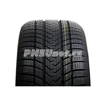 Gripmax Status Pro Winter 245/45 R17 99V