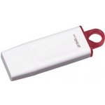 Kingston DataTraveler Exodia 256GB KC-U2G256-5R – Sleviste.cz