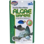 Hikari Algae Wafers 40 g – Zboží Dáma