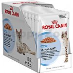 Royal Canin ultra light jelly 12 x 85 g – Sleviste.cz