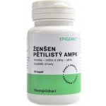 Epigemic Ženšen pětilistý AMPK 90 kapslí – Hledejceny.cz