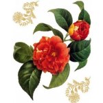 Ag Design AGF00457 samolepící dekorace Red flowers F 0457 Kamélie rozměry 65 x 85 cm – Zboží Dáma