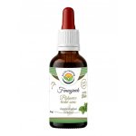 Salvia Paradise Pískavice Fenugreek AF tinktura 50 ml – Hledejceny.cz