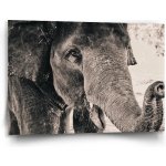 Sablio Obraz Slon - 90x60 cm – Hledejceny.cz