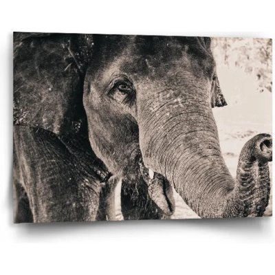 Sablio Obraz Slon - 90x60 cm – Hledejceny.cz